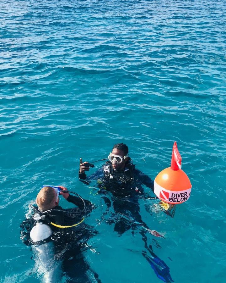 Dive Planet Mafia Island Utende Eksteriør billede